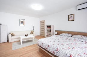 Central Studio Corail